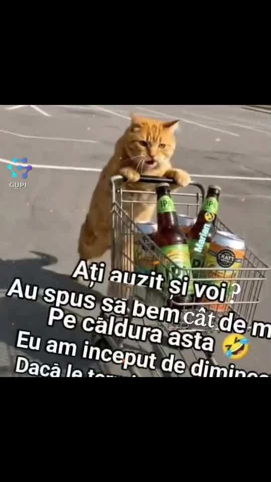 așa au spus...😁😁😁