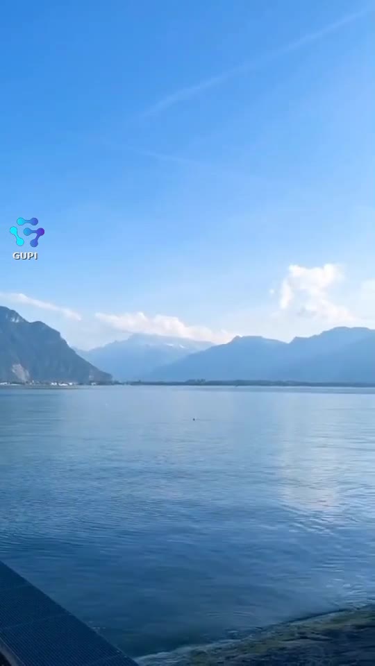 Video de @gupiuser139660