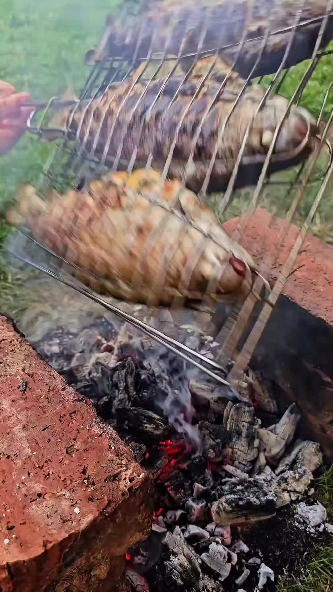 Video de @gupiuser1011995