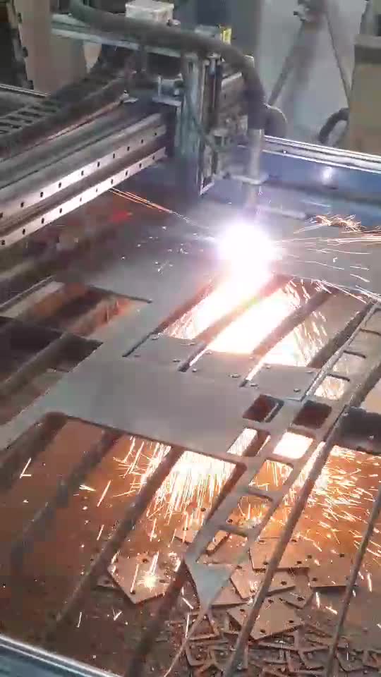 zi de munca plasma