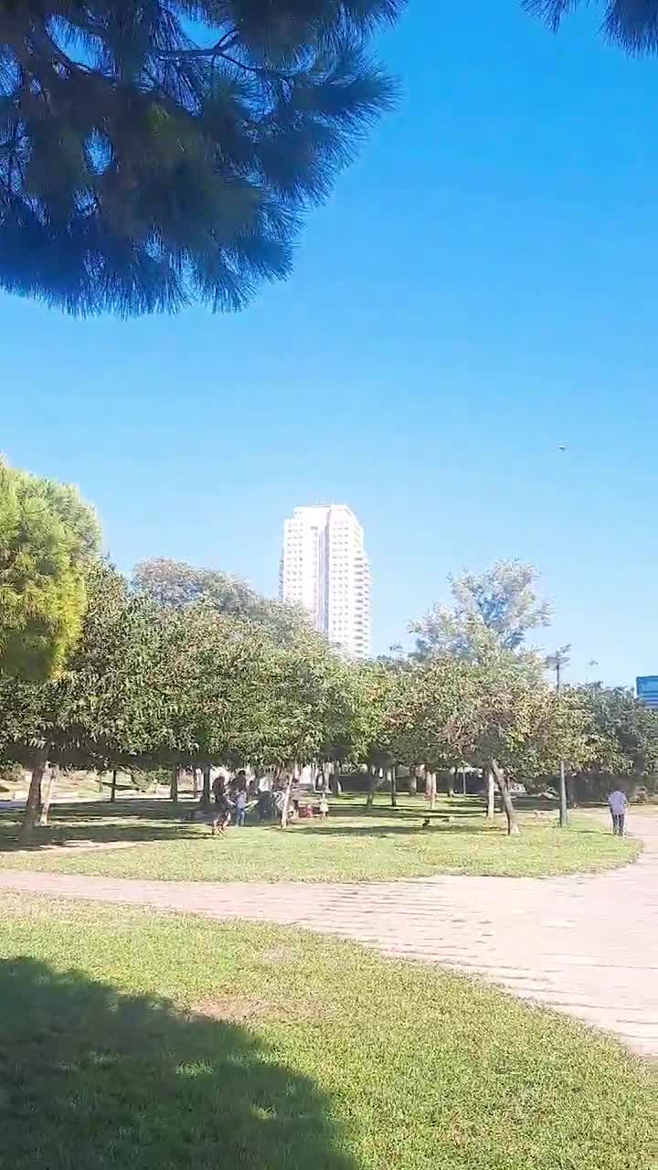 ă