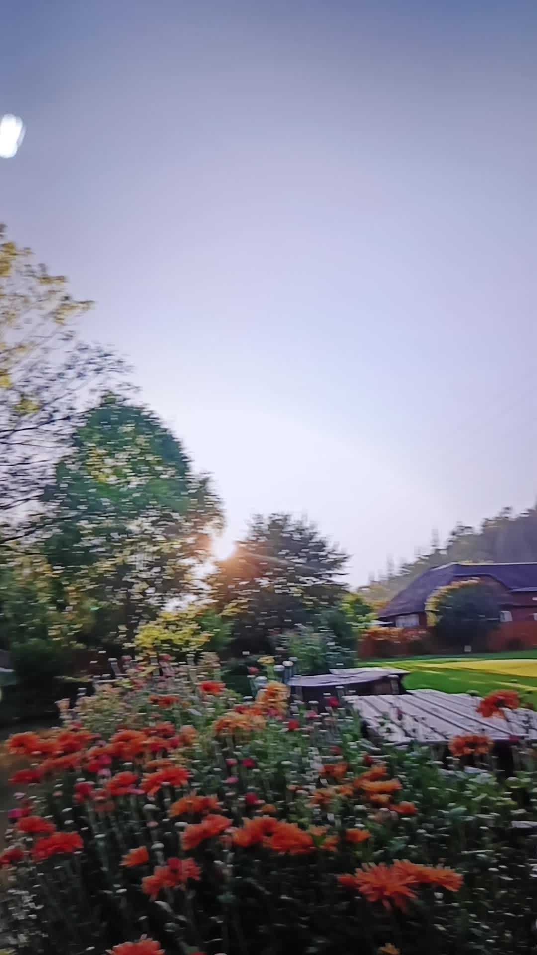 Video de @gupiuser868790