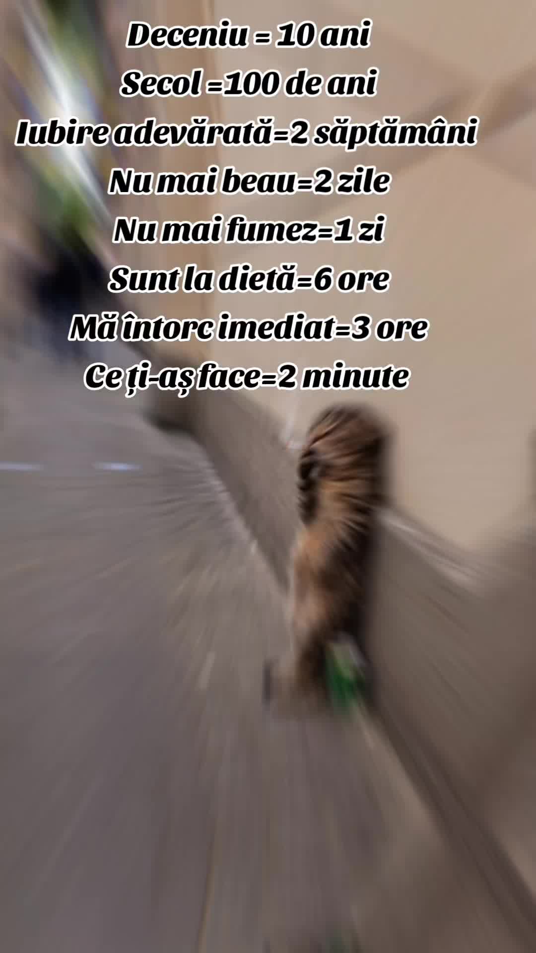 Video de @gupiuser144503