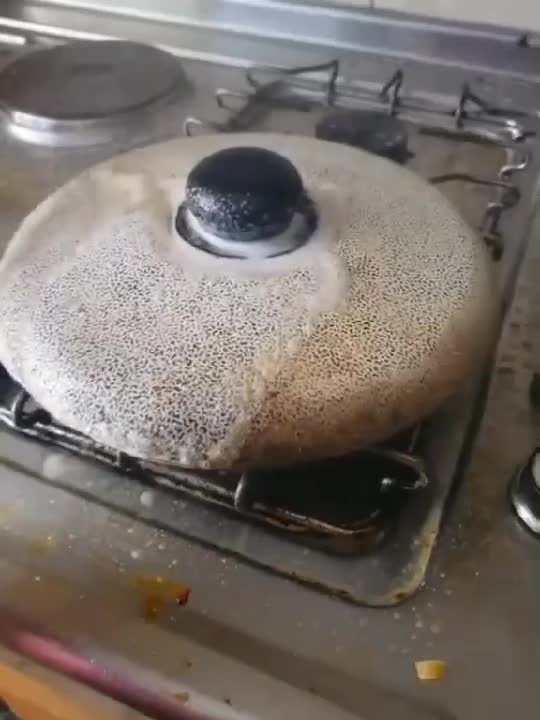 ✨ Scapă de grăsimea încăpățânată cu Anti Gresse de la Mihi! ✨

Te-ai săturat să freci tigăile și oalele fără rezultat? Anti Gresse de la Mihi îți vine