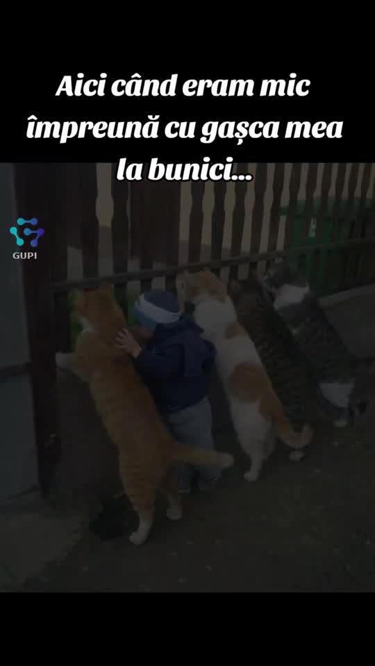 când eram mic cu gașca mea...😁😁☺️