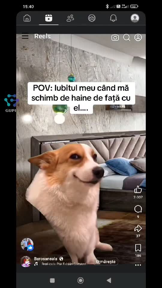 Video de @gupiuser346290