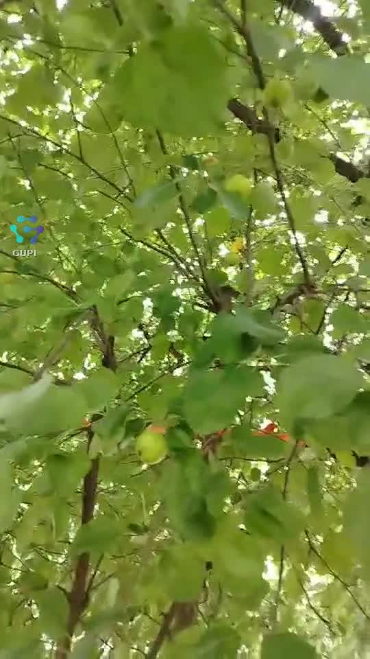 Peisaj.🌿🌿🌿