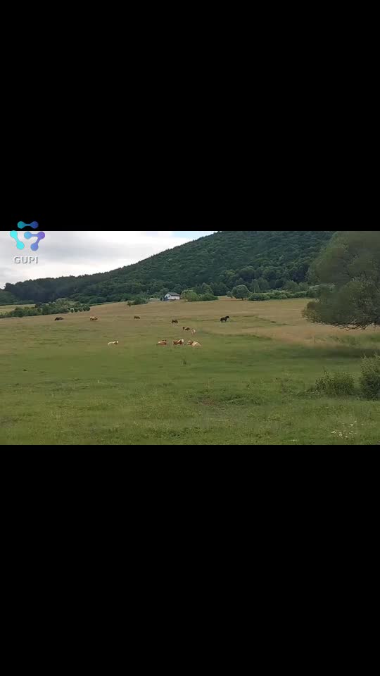 Video de @FLRica06
