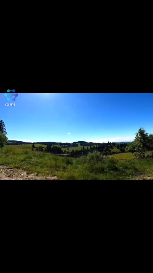 Video de @FLRica06