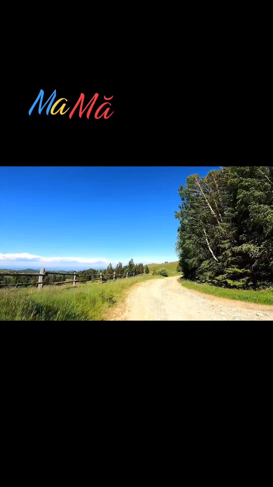 Video de @FLRica06