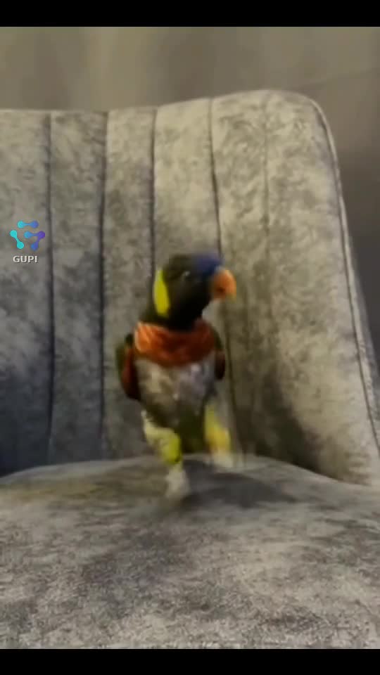 Video de @doru008