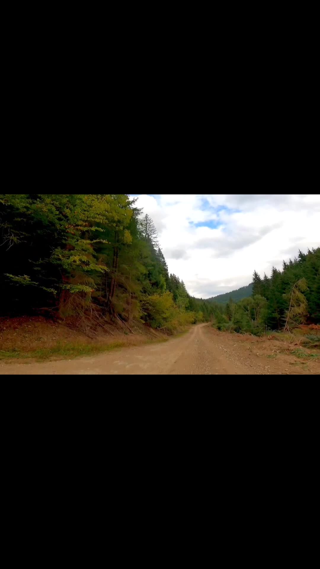 Video de @FLRica06