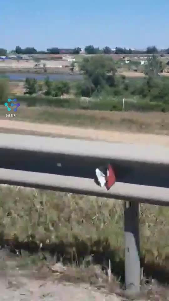 Video de @gupiuser109264