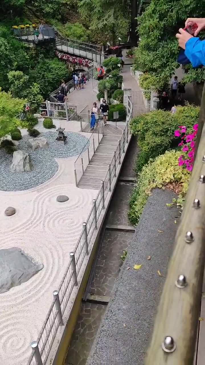 ZEN GARDEN🧘   ădină      ții