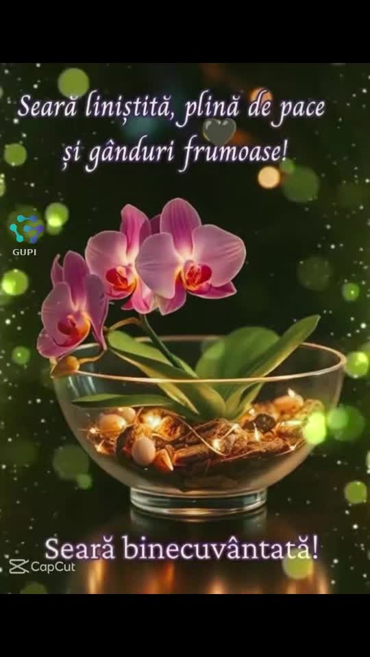 Video de @gupiuser397610