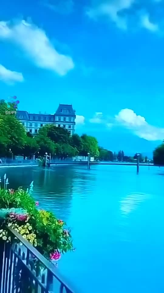 Video de @gupiuser153804