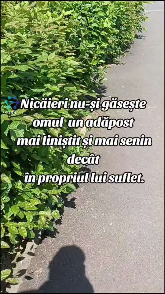 singurul adăpost al omului...☺️
