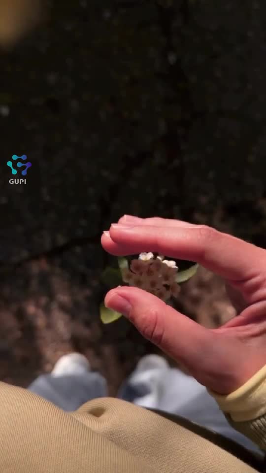 Video de @Nikoll28161