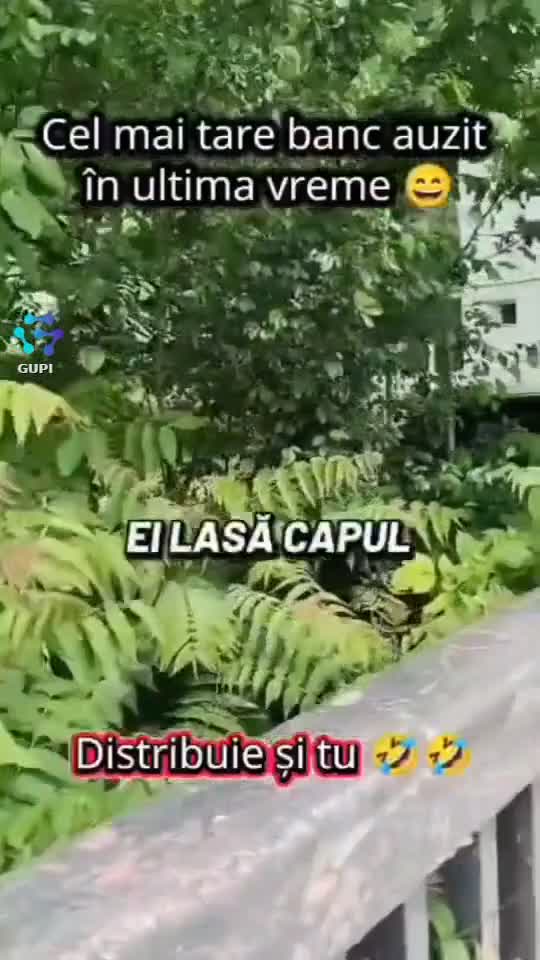 Video de @gupiuser158207