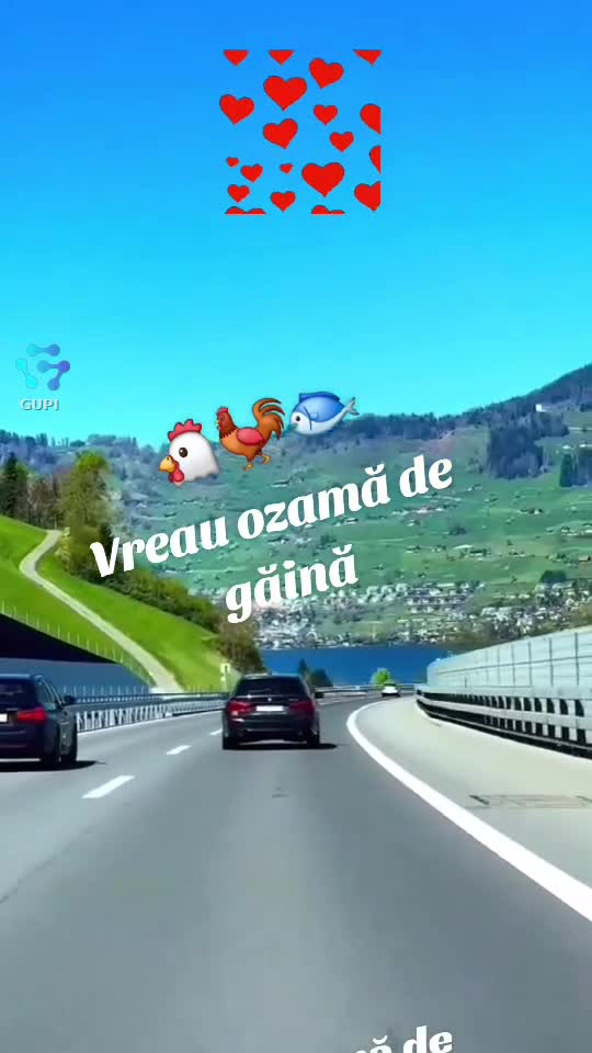 Video de @gupiuser115640