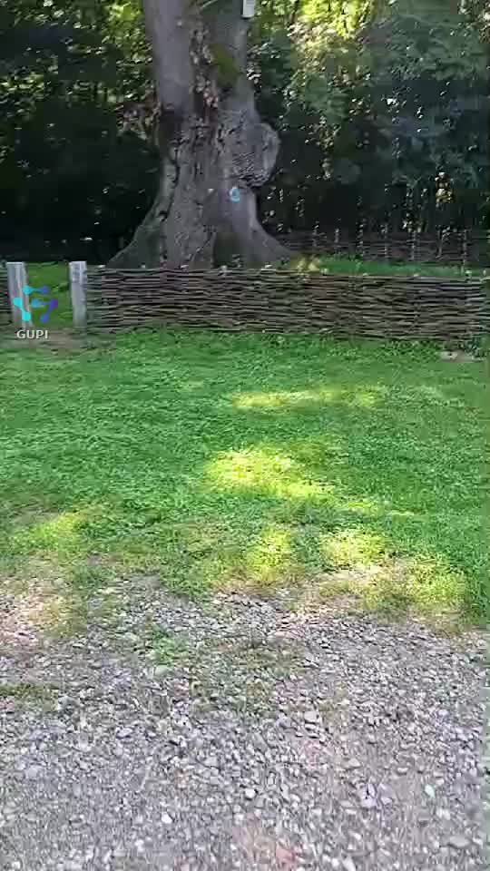 Video de @gupiuser248495