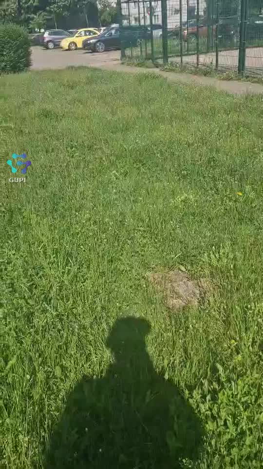 Video de @gupiuser166102