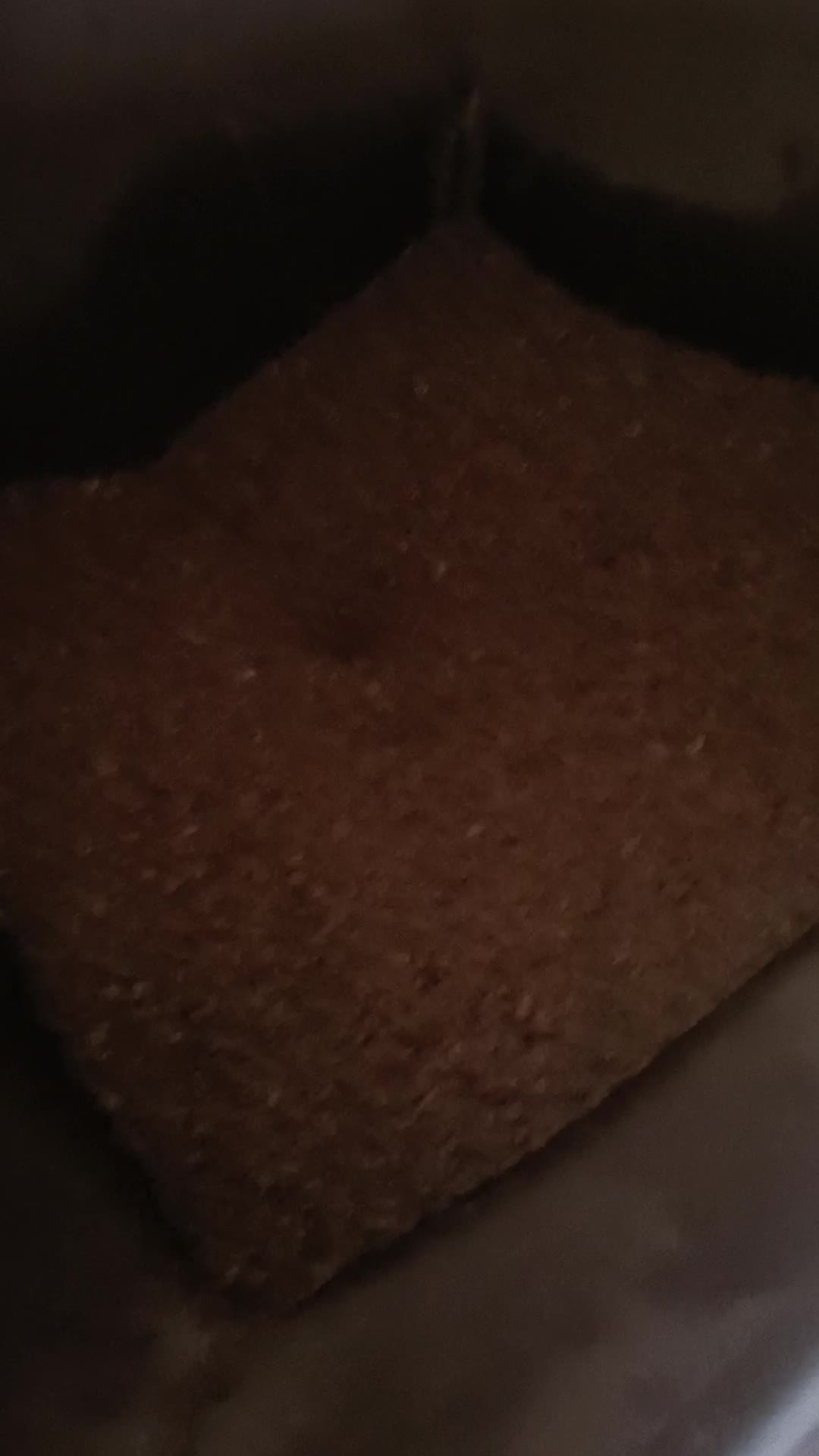 Video de @gupiuser1001489