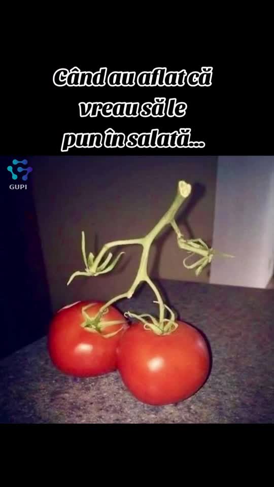 au luat-o la fugă...😁😁😁
