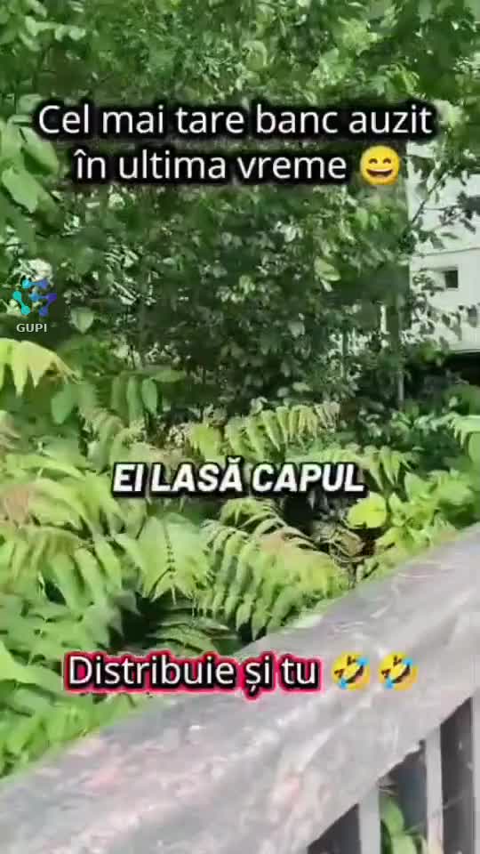 Video de @gupiuser94724