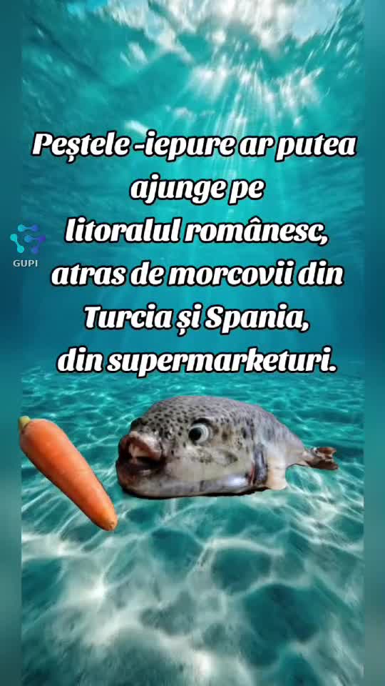 Video de @gupiuser144503