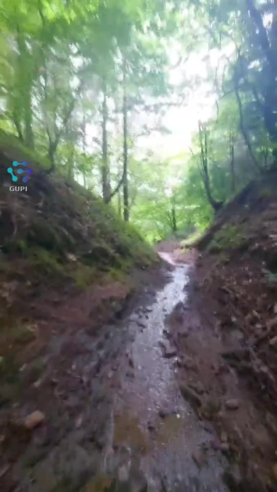 Video de @FLRica06