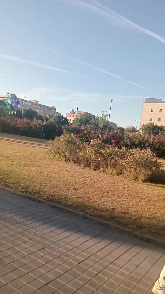 Video de @gupiuser115591