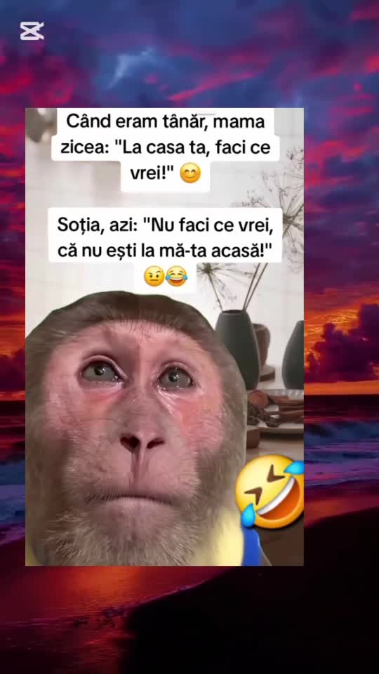 🇷🇴🤪🇷🇴#🇷🇴🤣🤣