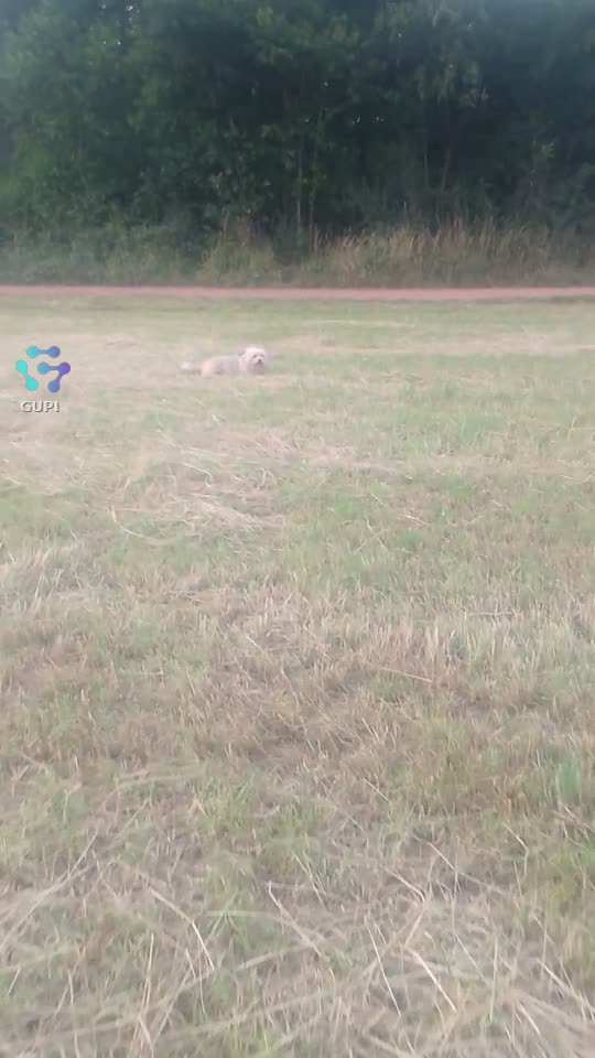 Video de @gupiuser142581