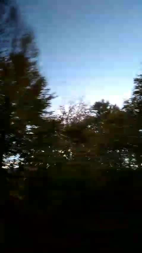 Video de @gupiuser120843