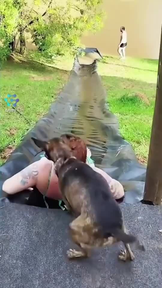 🤣🤣