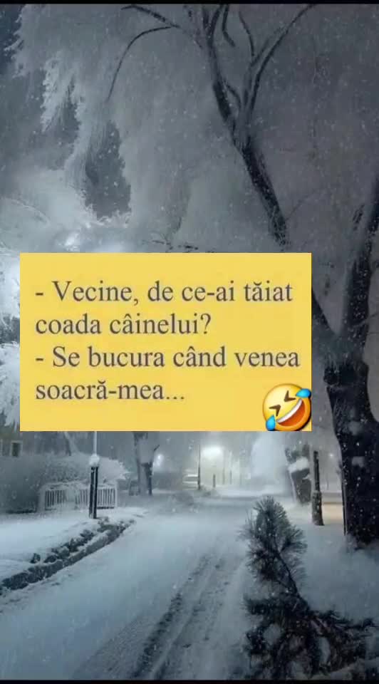 🇷🇴🤪🇷🇴#🇷🇴🤣🤣