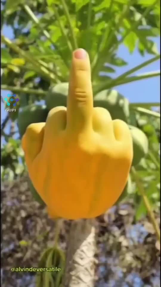 Video de @david99999