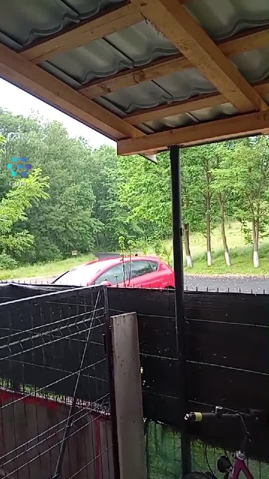 Video de @gupiuser248495