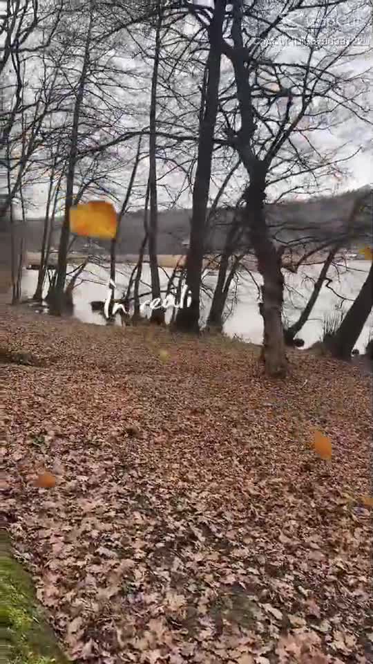 schimbă lucrurile...