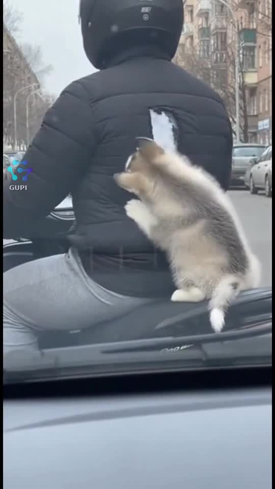 😁