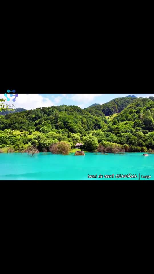 Video de @gupiuser302972