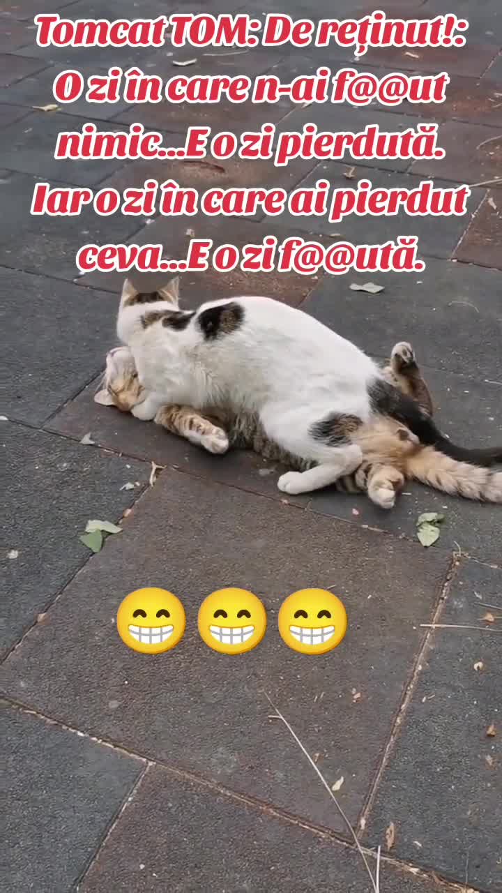 Video de @gupiuser144503
