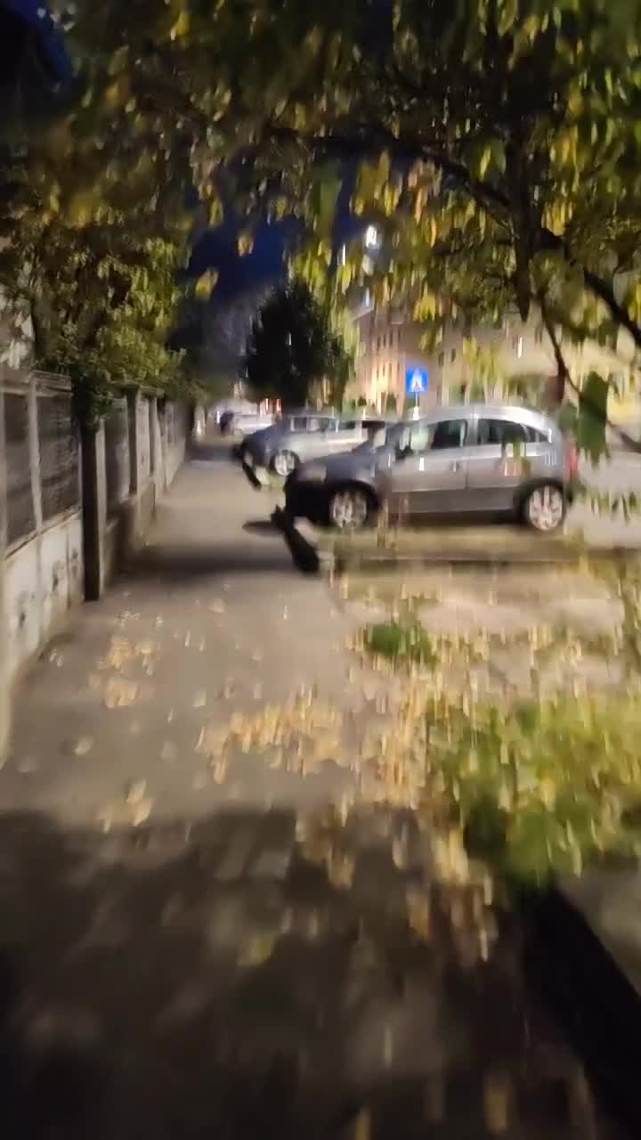 Video de @gupiuser892693