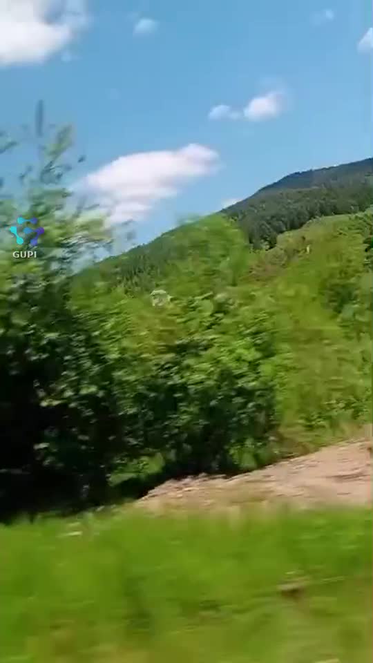 Video de @gupiuser323297