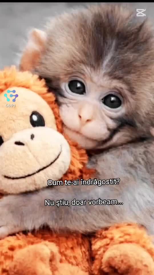 🙊🙈