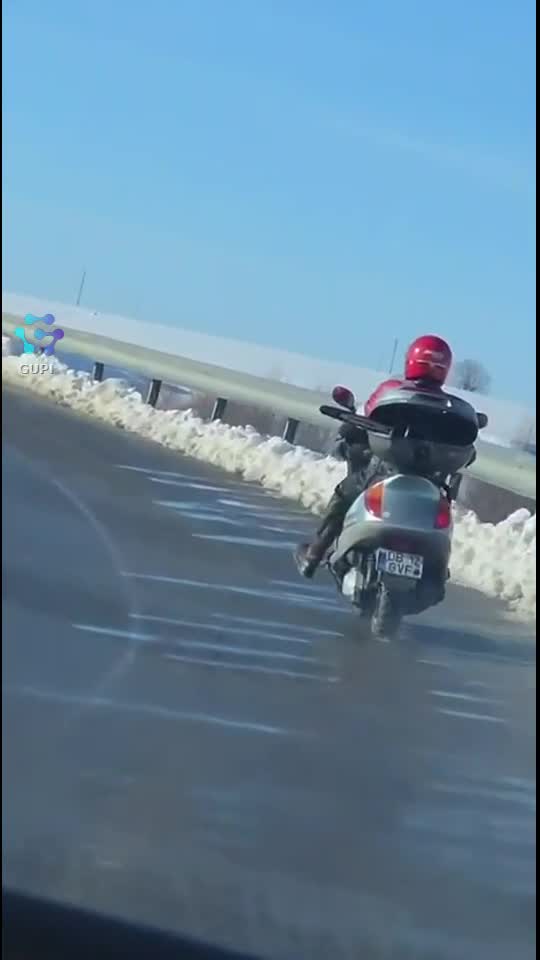 Video de @gupiuser137197