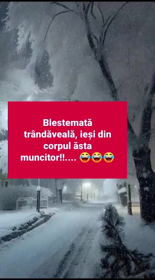 🇷🇴🤪🇷🇴#🇷🇴🤣🤣