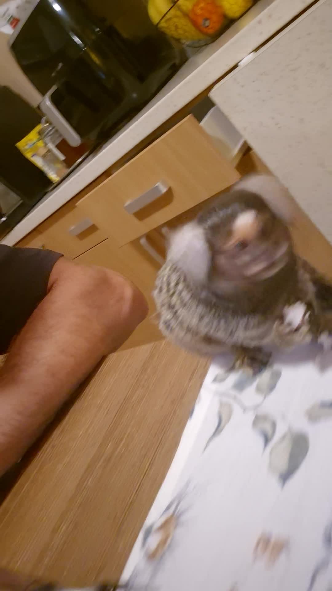 Video de @gupiuser964361