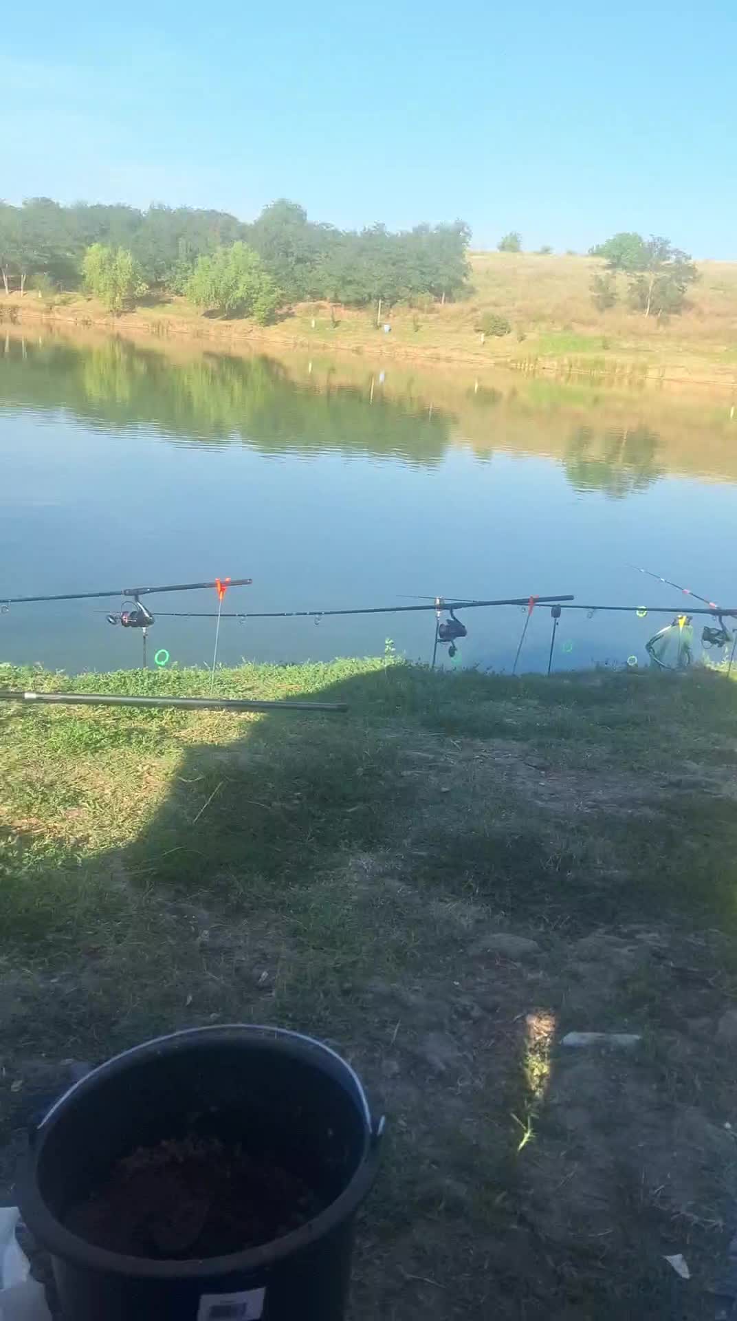 Video de @gupiuser1018063